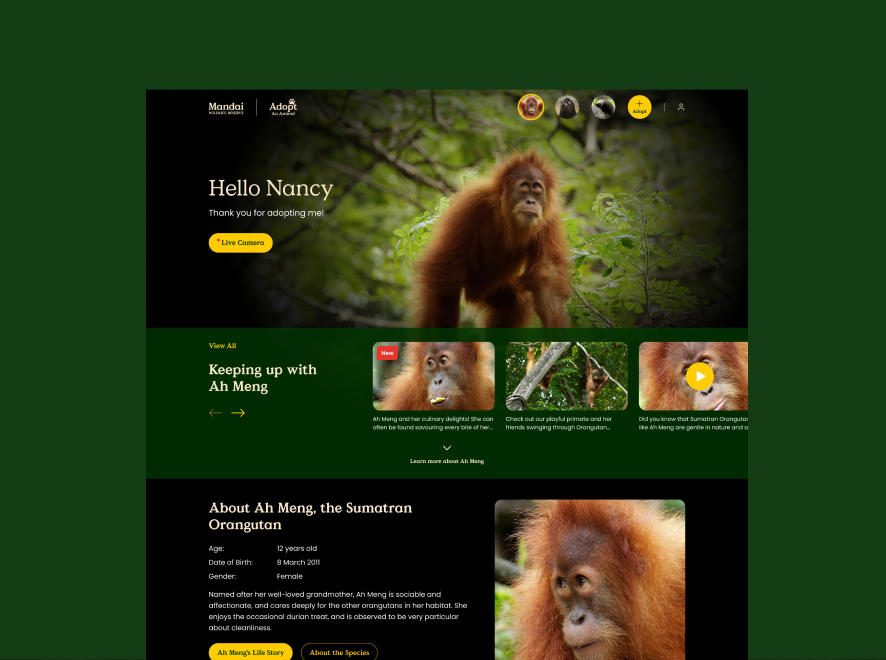 Mandai Wildlife Reserve website design